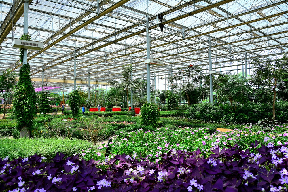 西安沣东农博园 (45).jpg
