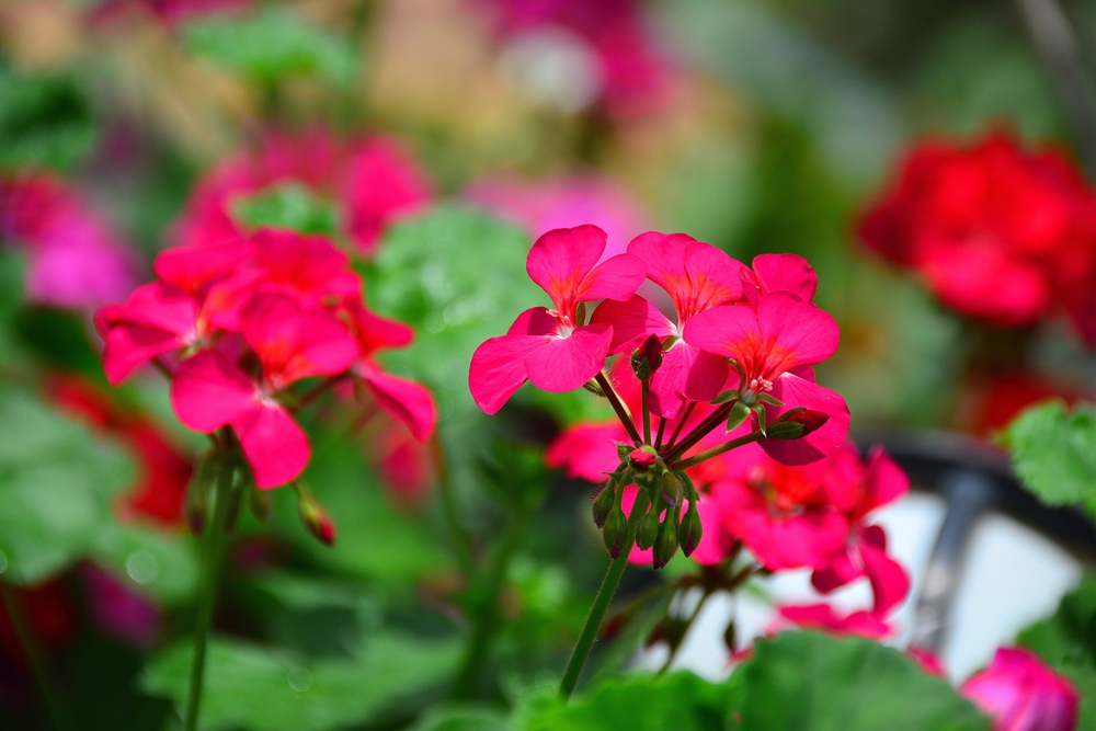 西安沣东农博园 (48).jpg