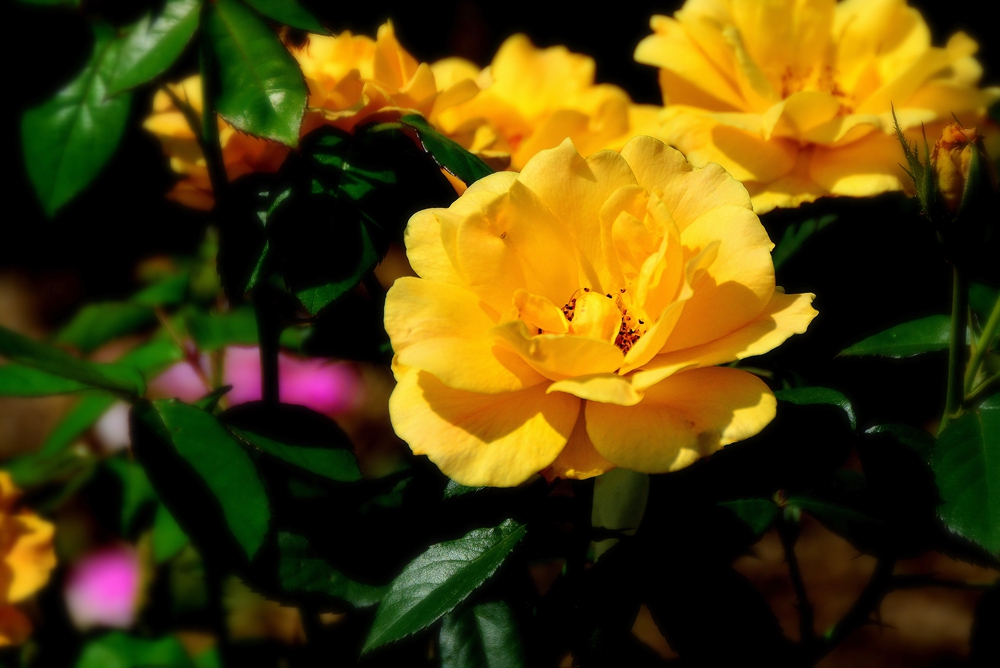 西安沣东农博园 (49).jpg