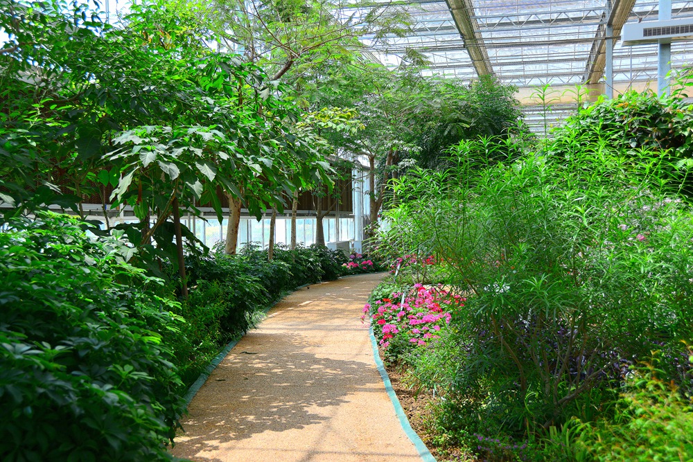 西安沣东农博园 (50).jpg