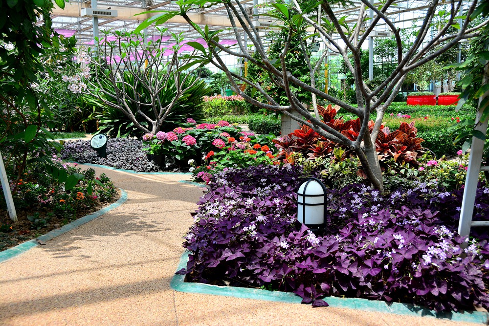 西安沣东农博园 (51).jpg