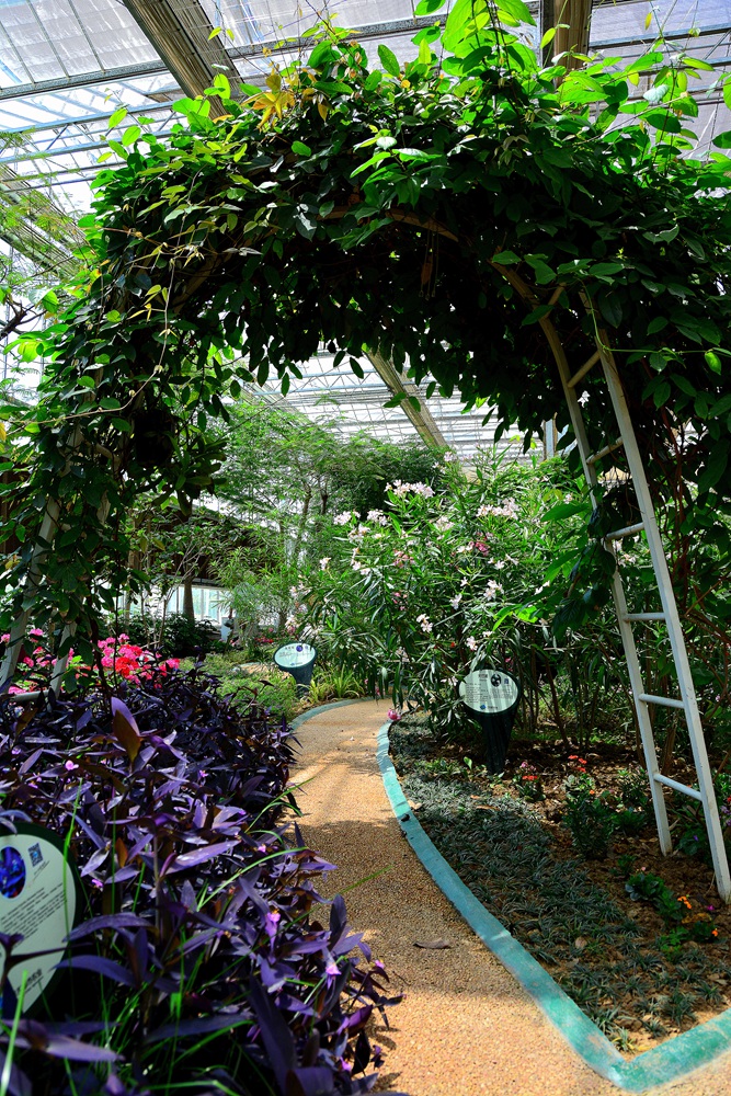 西安沣东农博园 (52).jpg