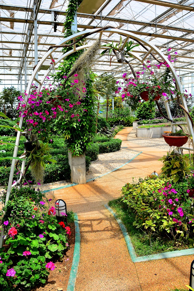 西安沣东农博园 (53).jpg