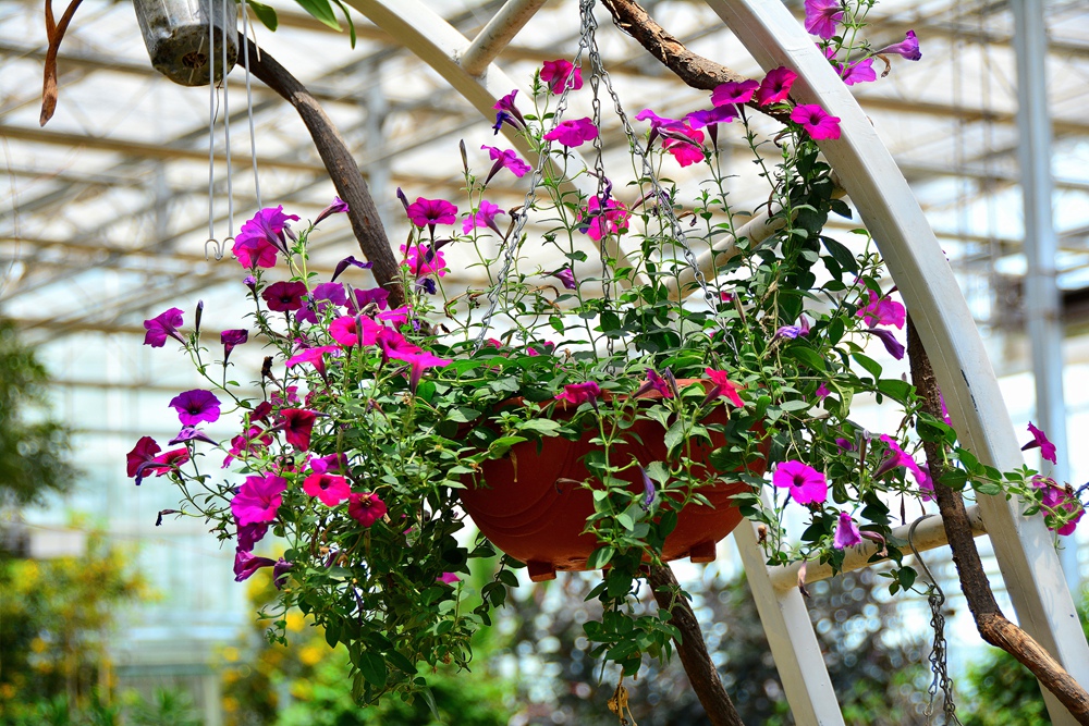 西安沣东农博园 (54).jpg