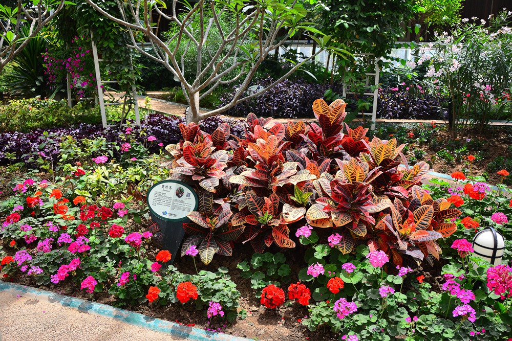 西安沣东农博园 (55).jpg