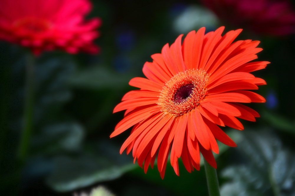 西安沣东农博园 (59).jpg