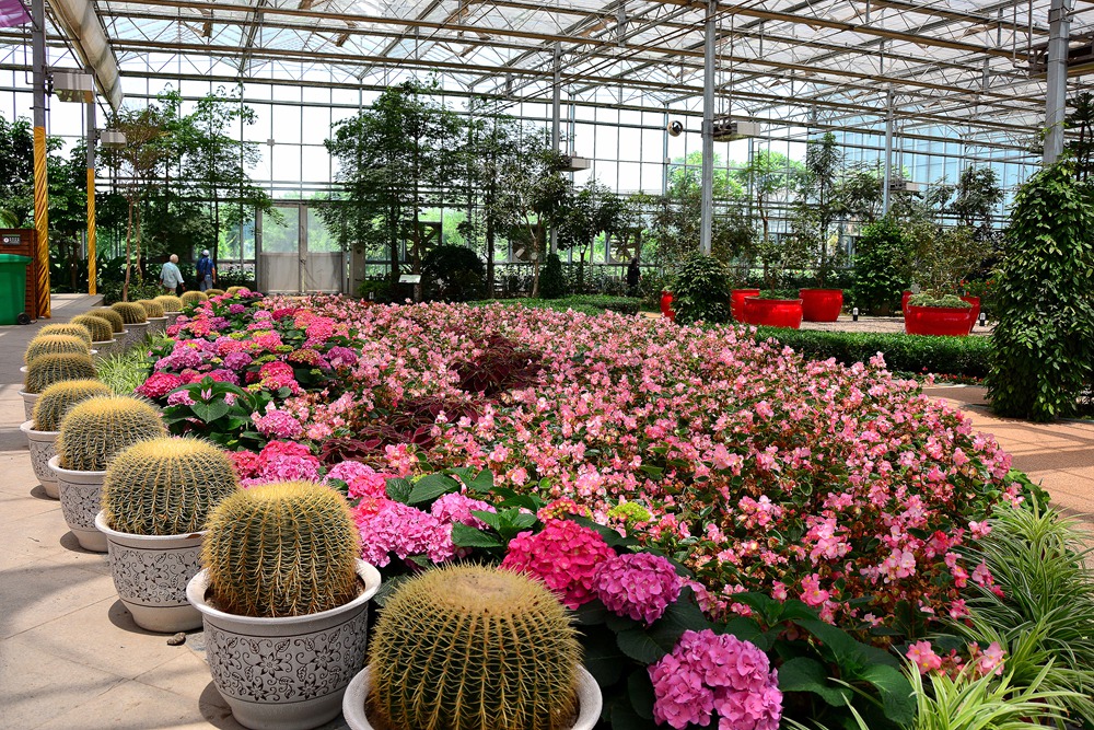 西安沣东农博园 (61).jpg