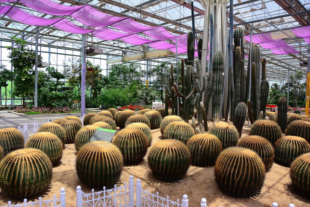 西安沣东农博园 (62).jpg