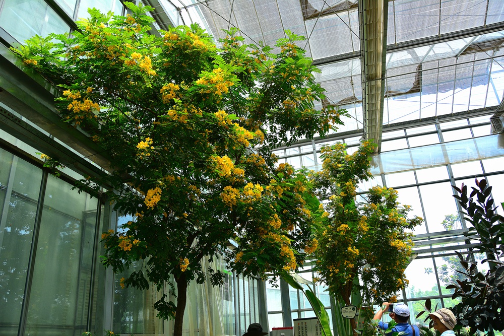 西安沣东农博园 (64).jpg