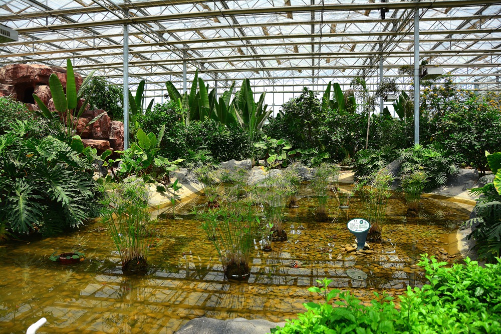 西安沣东农博园 (65).jpg