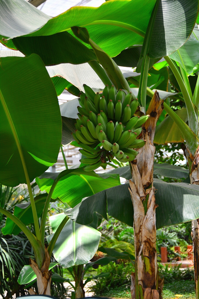 西安沣东农博园 (67).jpg