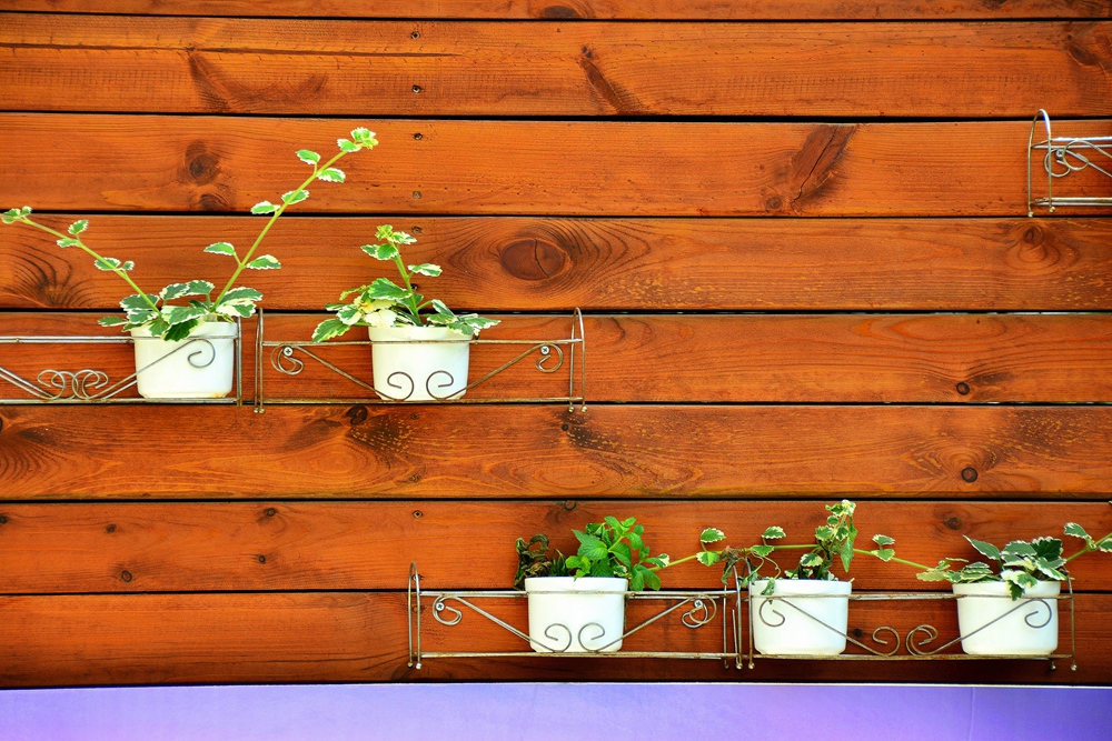 西安沣东农博园 (69).jpg