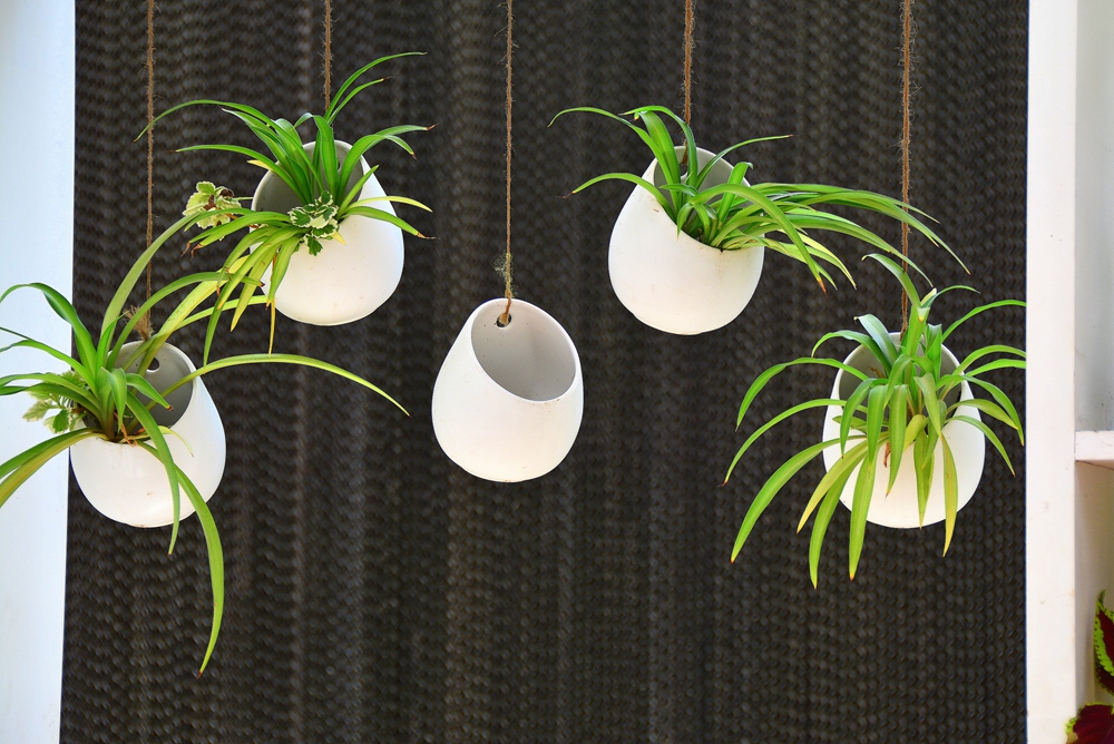 西安沣东农博园 (70).jpg