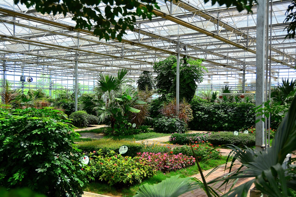 西安沣东农博园 (71).jpg