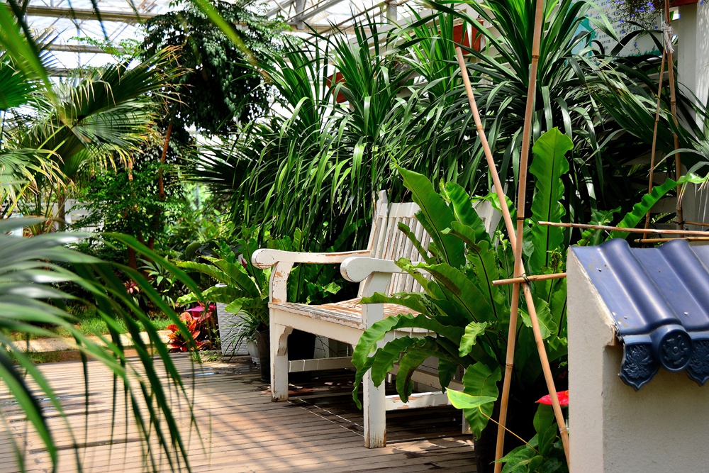 西安沣东农博园 (73).jpg