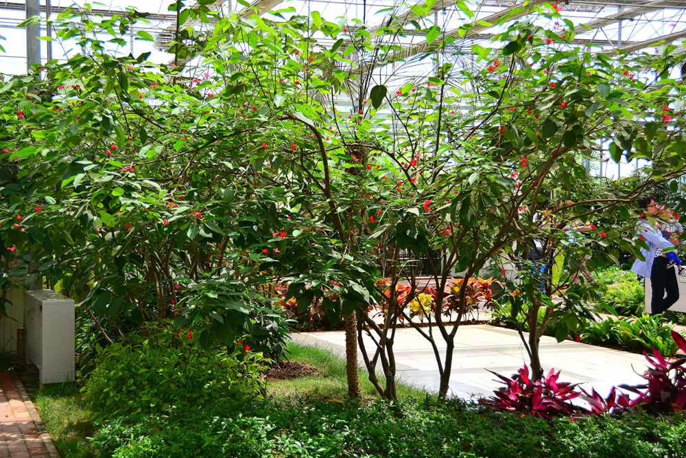 西安沣东农博园 (74).jpg