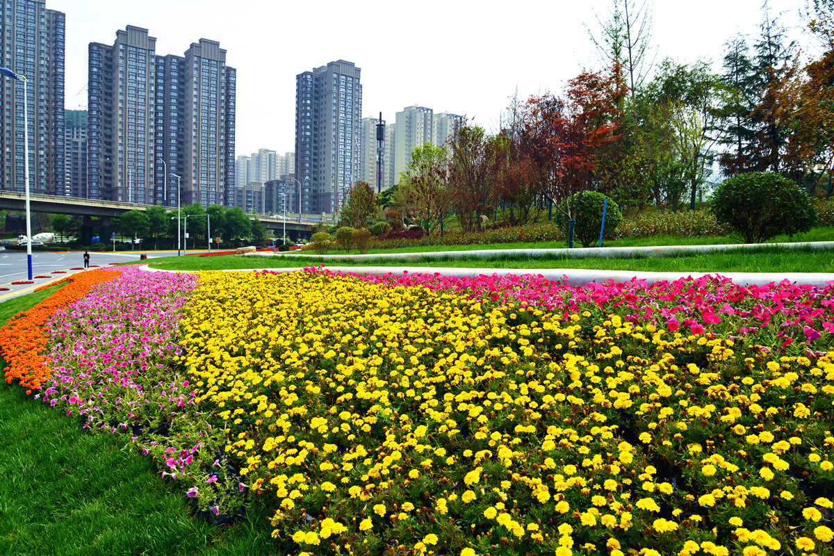DSC_0914_副本_副本.jpg