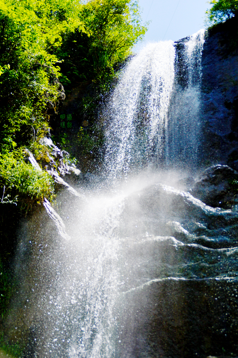 DSC_9637_副本.JPG