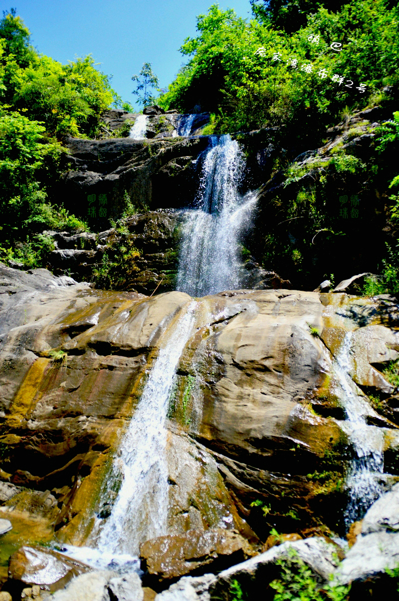 DSC_9650_副本_副本.JPG