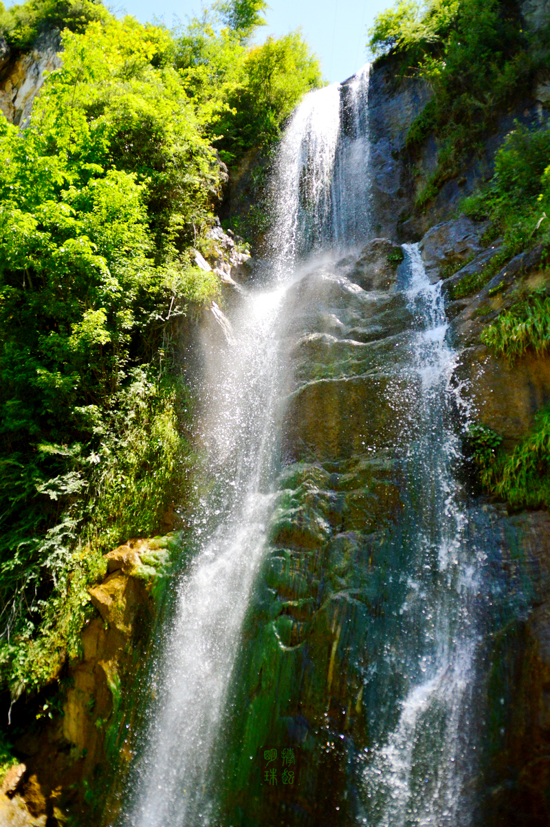 DSC_9630_副本.JPG