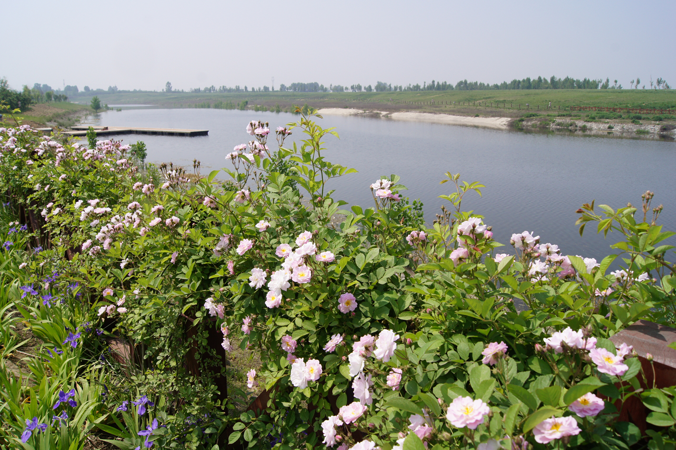 DSC08887_副本.jpg
