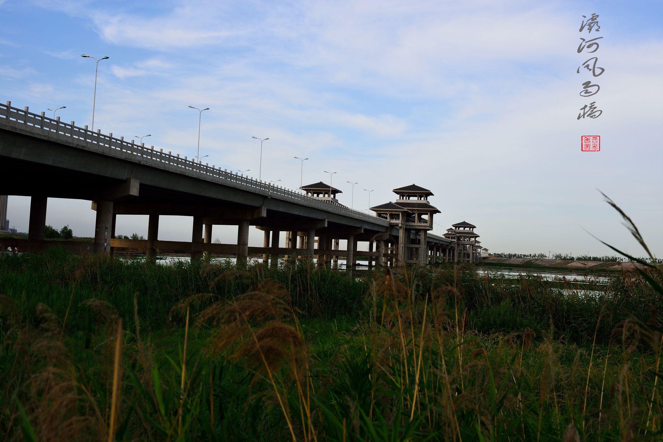 DSC_6186-1.jpg