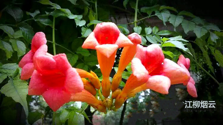 psb (30)_meitu_31.jpg