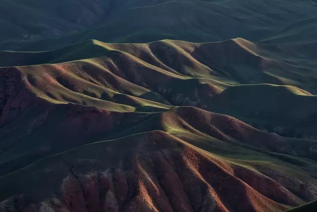 4.webp.jpg 4.webp.jpg