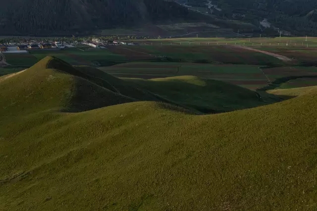 5.webp.jpg 5.webp.jpg