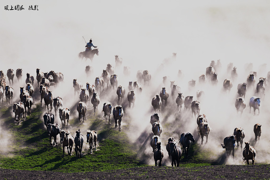 “_T2Y5901”为智能对象-1x.jpg