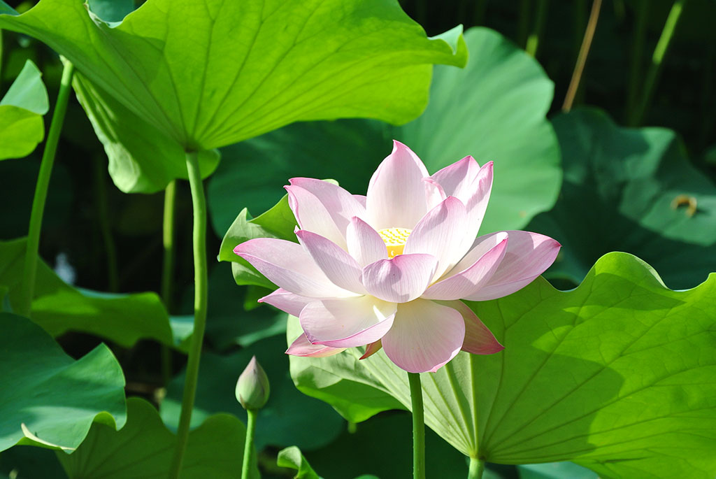 DSC_7926副本.jpg