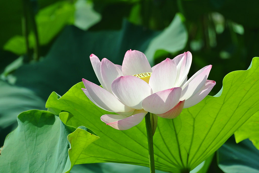 DSC_7927副本.jpg