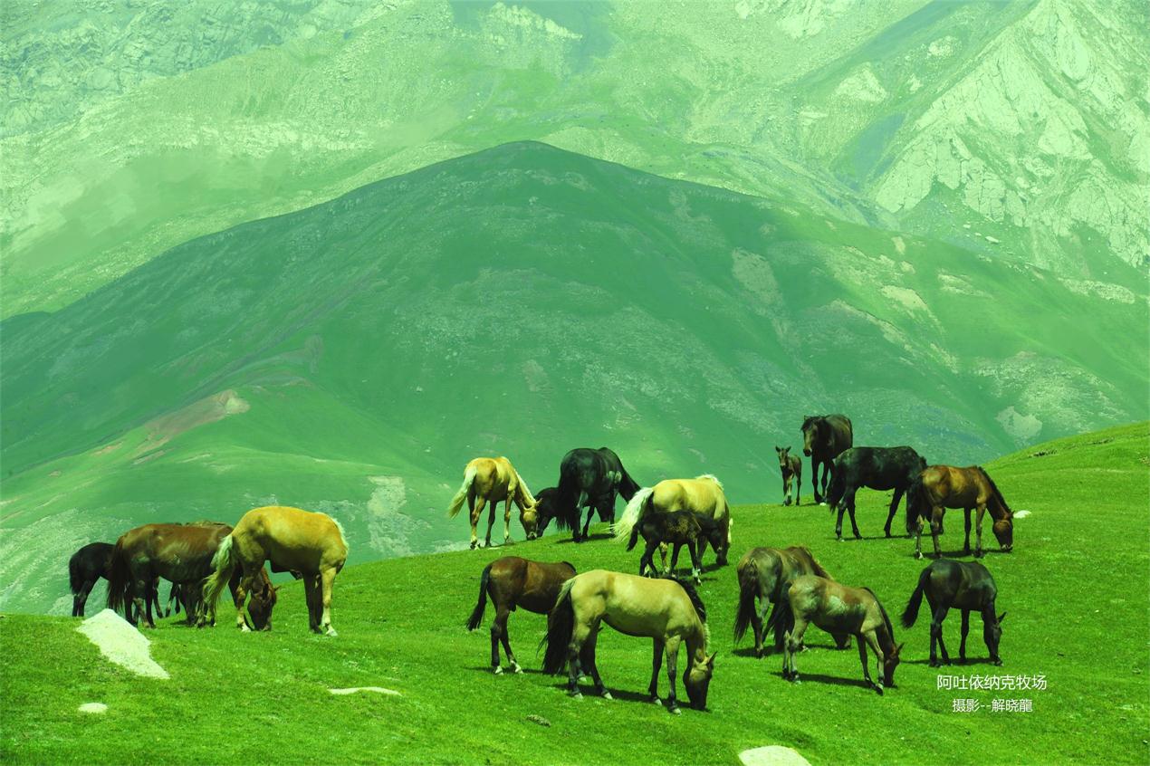 _DSC4702_看图王 (1).jpg