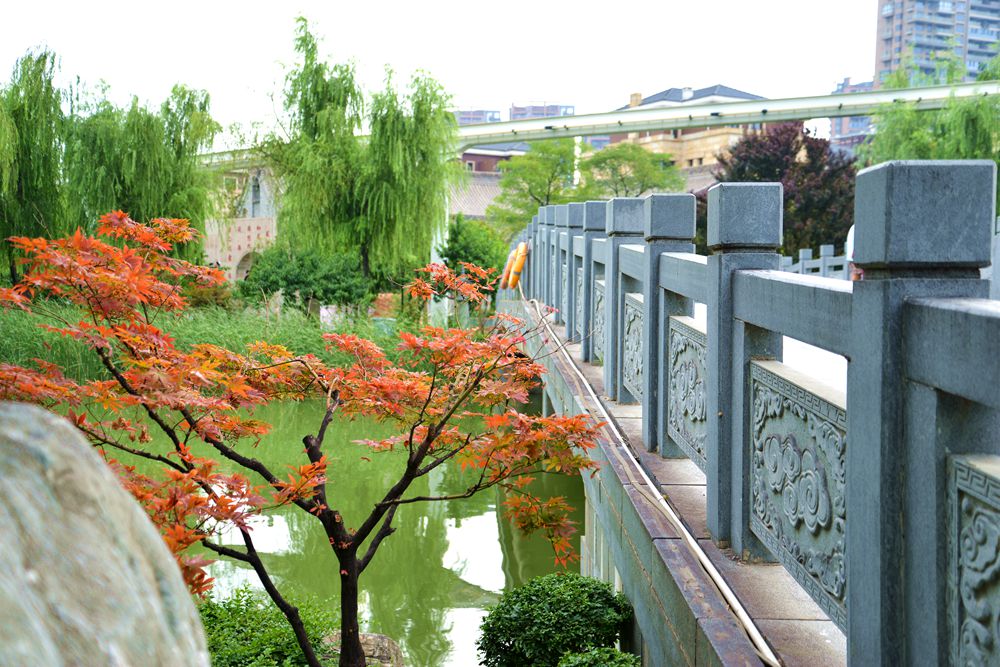 DSC_1987_副本.jpg