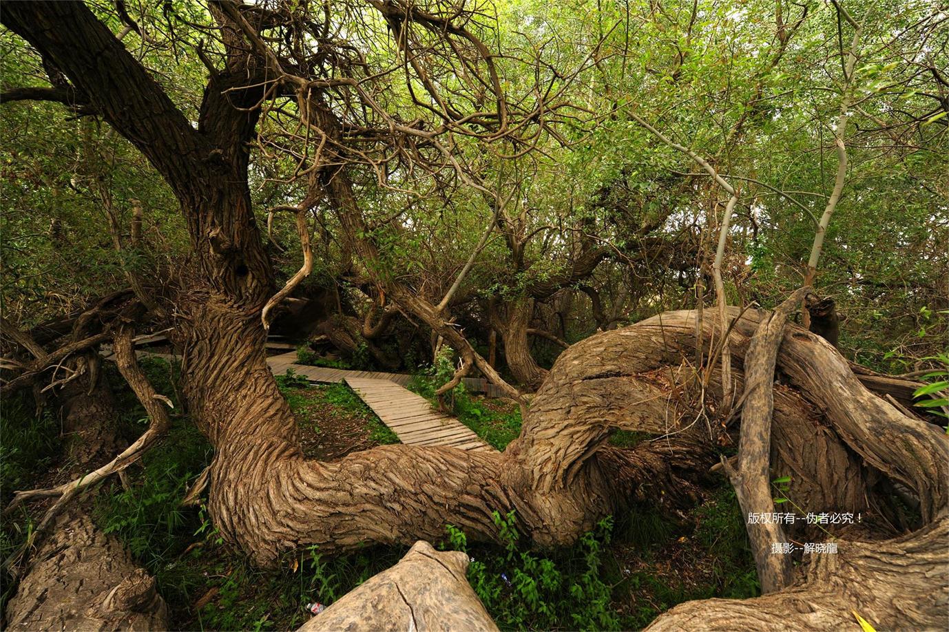 _DSC7150_看图王 (1).jpg