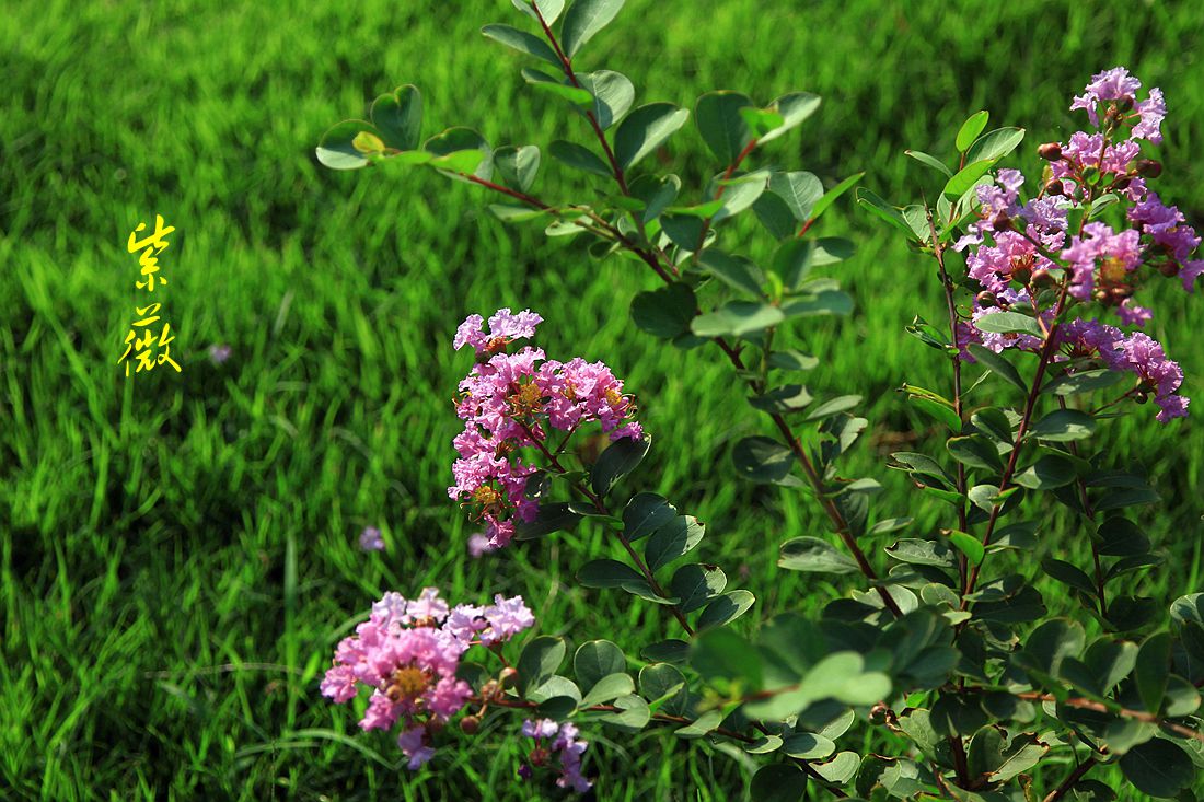 真卿公园 064_副本.jpg