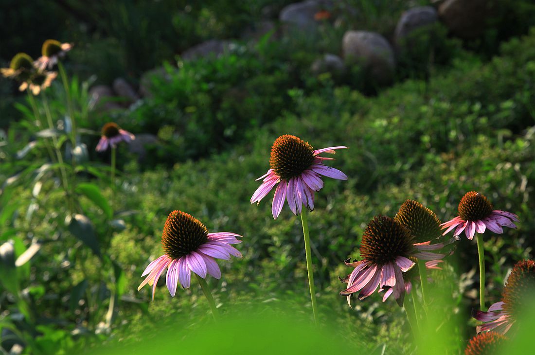 太阳谷 219_副本.jpg