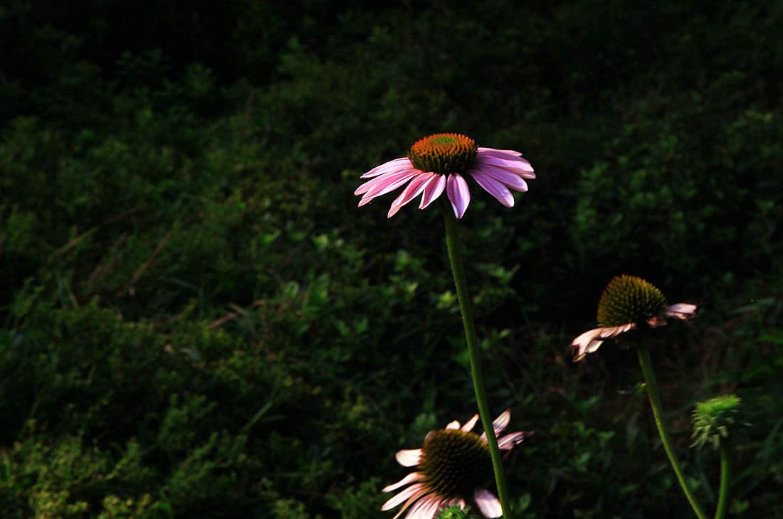 太阳谷 201_副本.jpg