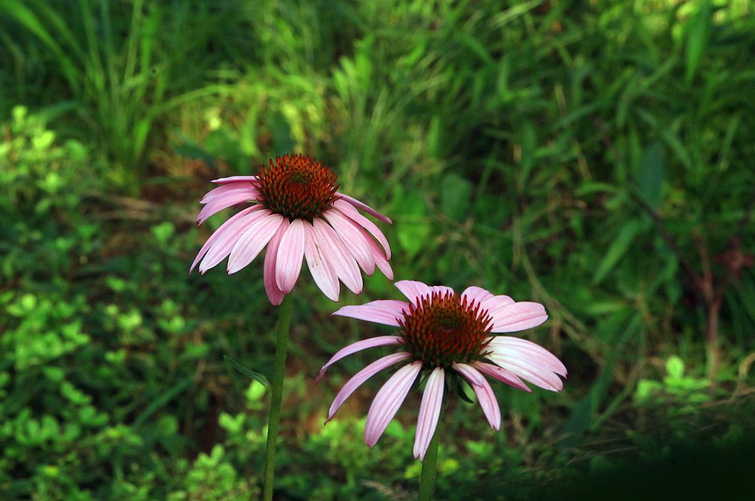 太阳谷 222_副本.jpg