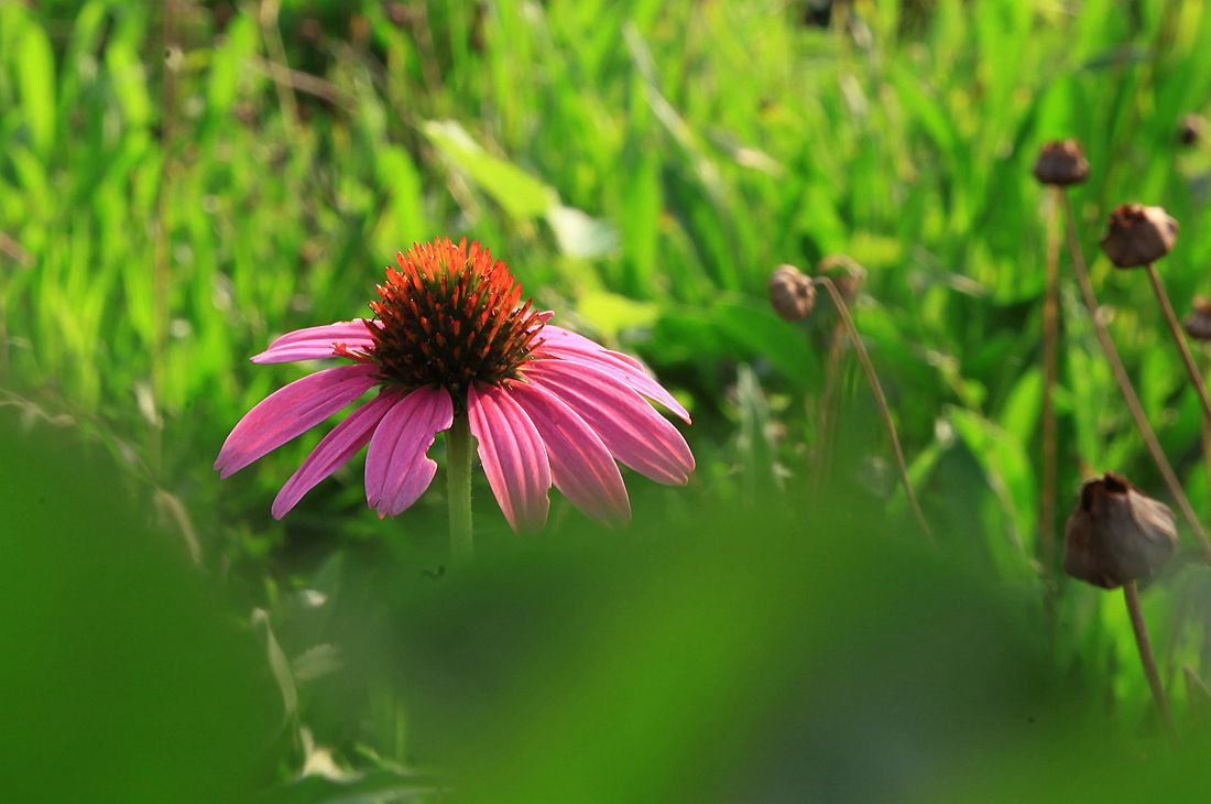 太阳谷 224_副本.jpg