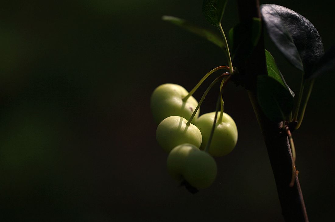 运河古街 014_副本.jpg