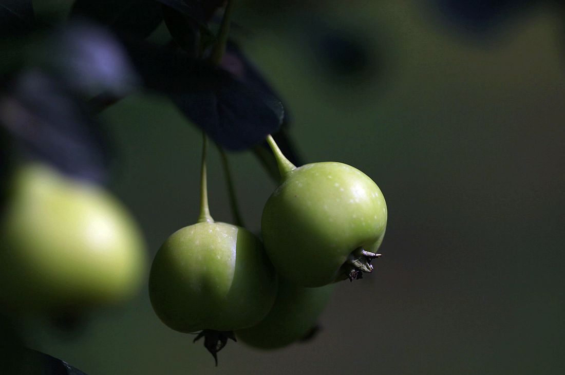 运河古街 012_副本.jpg