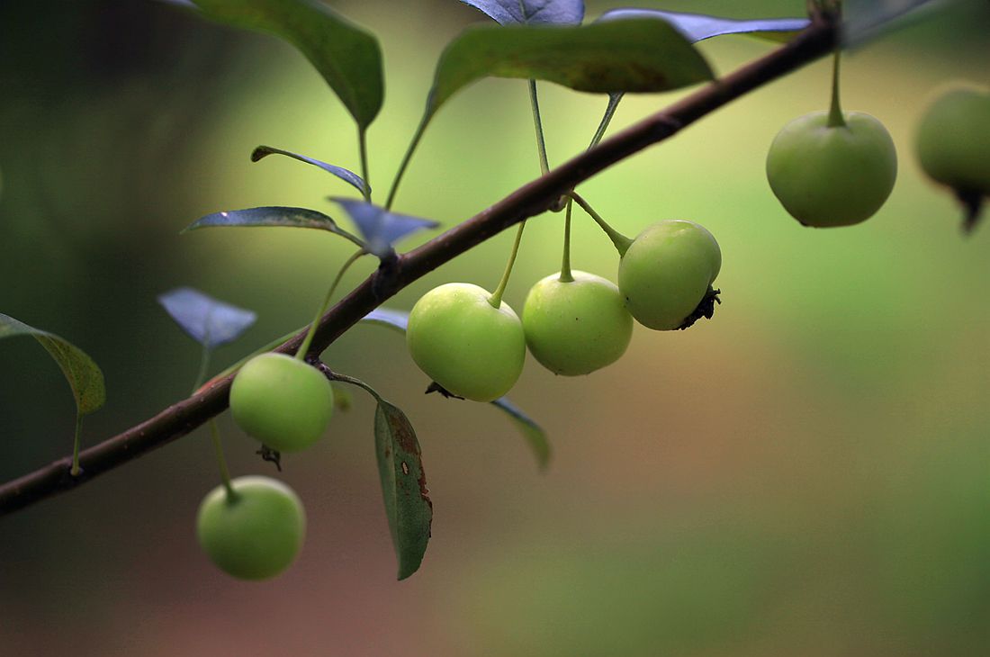 运河古街 025_副本.jpg