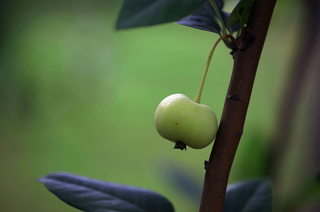 运河古街 027_副本.jpg