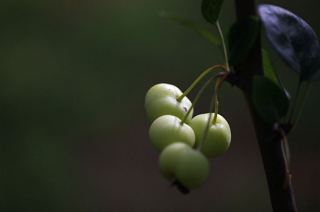 运河古街 035_副本.jpg