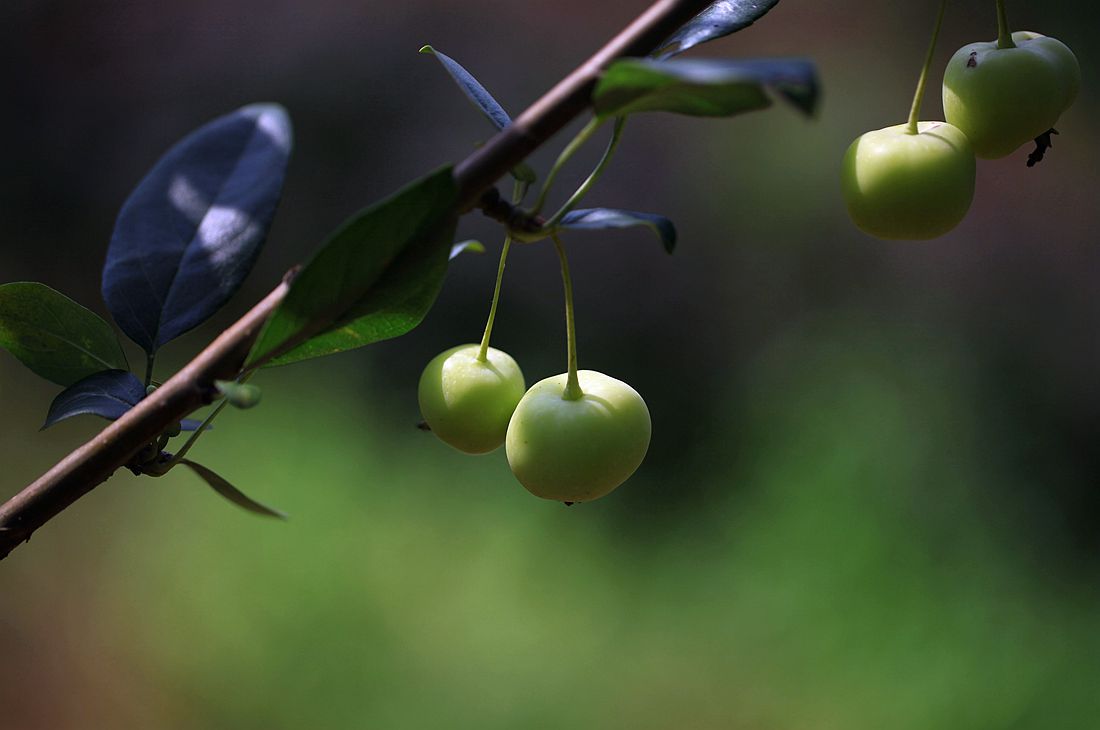 运河古街 036_副本.jpg