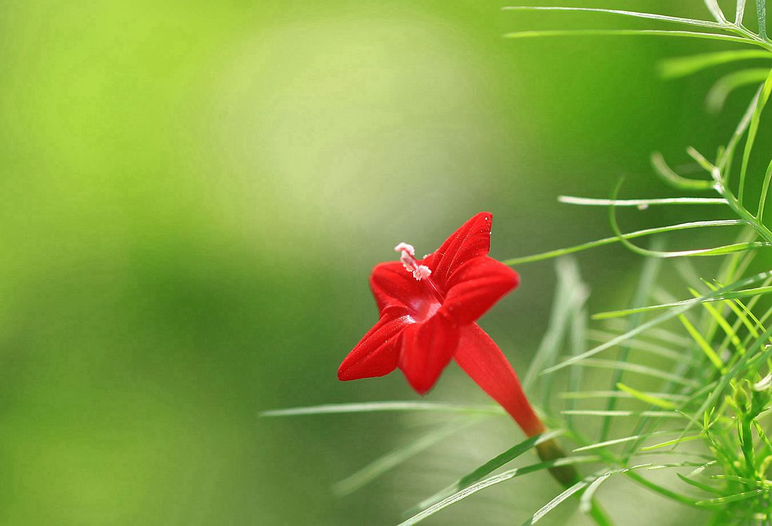 秋葵 158_副本.jpg