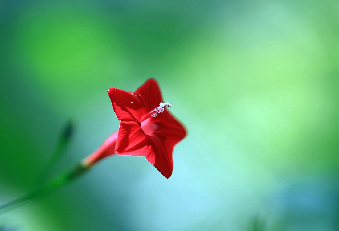 秋葵 166_副本.jpg