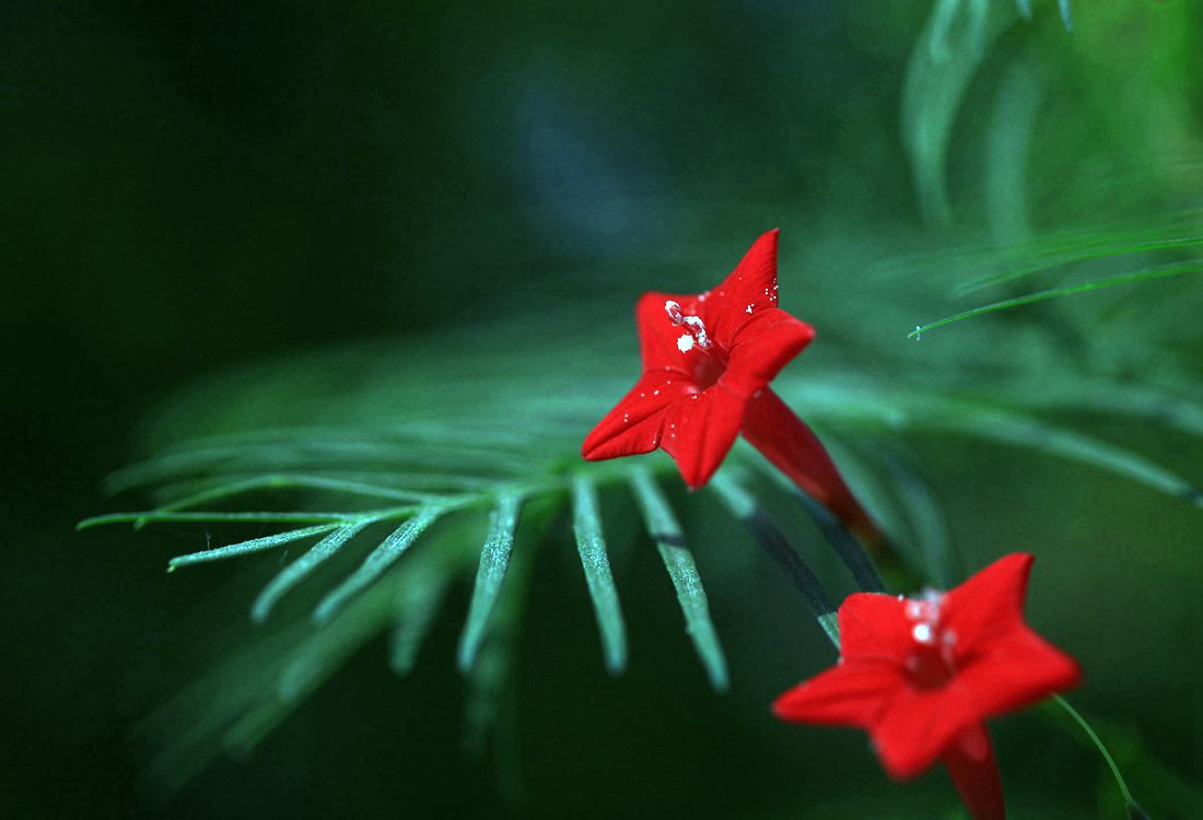 秋葵 174_副本.jpg