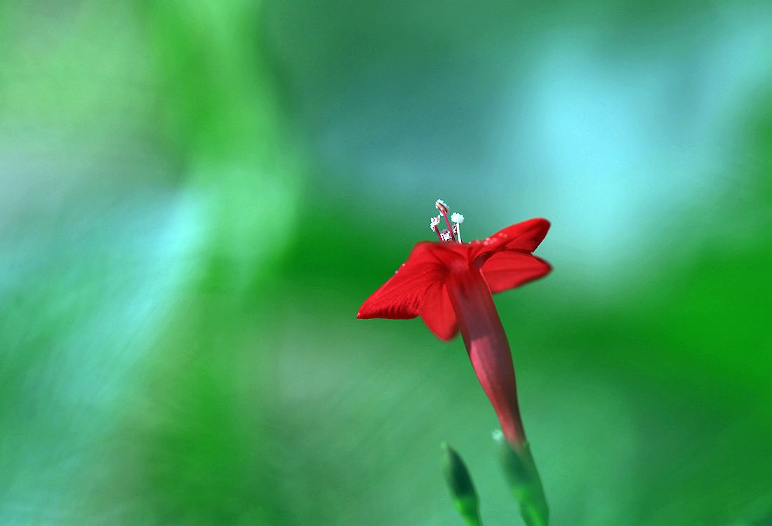 秋葵 195_副本.jpg